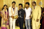 ALS Nachiappan Son Wedding Reception - 15 of 70