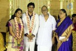 ALS Nachiappan Son Wedding Reception - 21 of 70