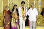 ALS Nachiappan Son Wedding Reception - 23 of 70