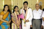ALS Nachiappan Son Wedding Reception - 28 of 70