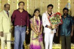 ALS Nachiappan Son Wedding Reception - 29 of 70