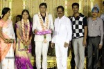 ALS Nachiappan Son Wedding Reception - 31 of 70