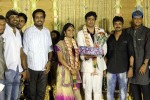 ALS Nachiappan Son Wedding Reception - 36 of 70