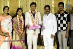 ALS Nachiappan Son Wedding Reception - 40 of 70