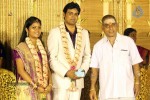 ALS Nachiappan Son Wedding Reception - 43 of 70