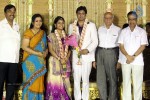 ALS Nachiappan Son Wedding Reception - 58 of 70