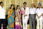 ALS Nachiappan Son Wedding Reception - 60 of 70
