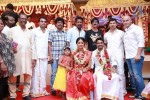 Amala Paul and Director Vijay Wedding Photos - 5 of 43