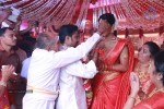 Amala Paul and Director Vijay Wedding Photos - 6 of 43