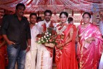 Amala Paul and Director Vijay Wedding Photos - 14 of 43