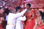 Amala Paul and Director Vijay Wedding Photos - 16 of 43
