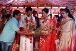 Amala Paul and Director Vijay Wedding Photos - 17 of 43