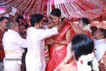 Amala Paul and Director Vijay Wedding Photos - 43 of 43