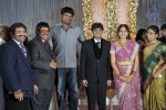 Ambica Krishna Brother Son Wedding Reception - 7 of 18