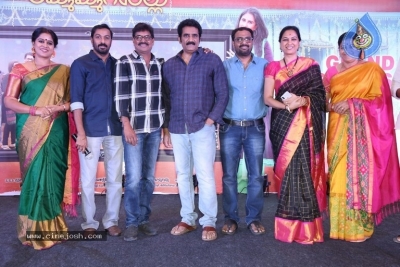 Ammammagarillu Success Meet - 23 of 28