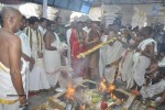 Amrutha Pasupata Maha Mrityunjaya Homam Purnahuti 01 - 17 of 128