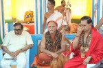 Amrutha Pasupata Maha Mrityunjaya Homam Purnahuti 02 - 122 of 128