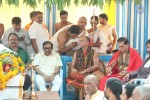 Amrutha Pasupata Maha Mrityunjaya Homam Purnahuti 02 - 128 of 128