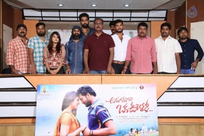 Anaganaga Oka Oollo Movie Press Meet - 12 of 13