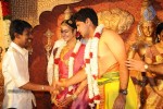 Anirudh Srikanth Wedding Reception - 11 of 19