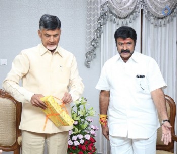 AP CM Releases India Today Special Issue on Balakrishna - 3 of 31