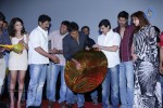 aravind-2-movie-audio-launch