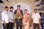 Aryan Rajesh Wedding Reception - 01 - 12 of 44
