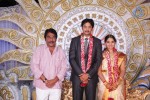 Aryan Rajesh Wedding Reception - 01 - 14 of 44