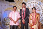 Aryan Rajesh Wedding Reception - 01 - 21 of 44