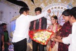 Aryan Rajesh Wedding Reception - 02 - 26 of 92
