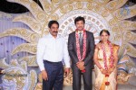 Aryan Rajesh Wedding Reception - 02 - 34 of 92