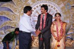Aryan Rajesh Wedding Reception - 02 - 36 of 92