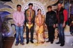 Aryan Rajesh Wedding Reception - 03 - 14 of 96