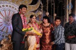 Aryan Rajesh Wedding Reception - 03 - 79 of 96
