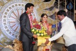 Aryan Rajesh Wedding Reception - 03 - 80 of 96