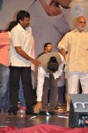 Badrinath Movie Audio Launch - 99 of 136