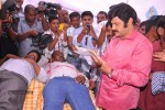 Balakrishna Birthday Celebrations  - 66 of 277