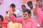 Balakrishna Birthday Celebrations  - 79 of 277