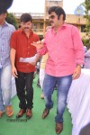 Balakrishna Birthday Celebrations  - 89 of 277