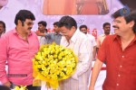 Balakrishna Birthday Celebrations  - 105 of 277