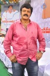 Balakrishna Birthday Celebrations  - 121 of 277