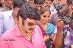 Balakrishna Birthday Celebrations  - 146 of 277