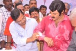 Balakrishna Birthday Celebrations  - 164 of 277