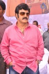 Balakrishna Birthday Celebrations  - 166 of 277