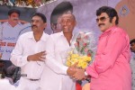 Balakrishna Birthday Celebrations  - 172 of 277