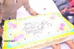 Balakrishna Birthday Celebrations  - 212 of 277