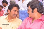 Balakrishna Birthday Celebrations  - 231 of 277