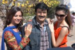 balakrishna-new-movie-opening