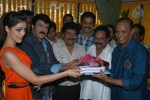 balakrishna-new-movie-opening