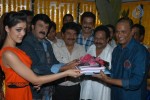 Srimannarayana Movie Opening - 66 of 130